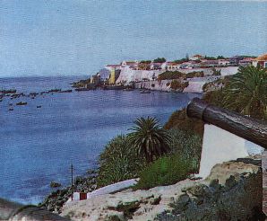 Foto4.jpg